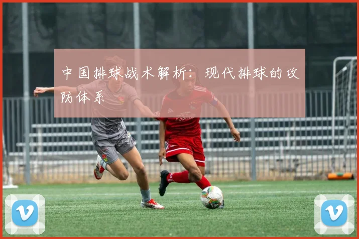 中国排球战术解析：现代排球的攻防体系